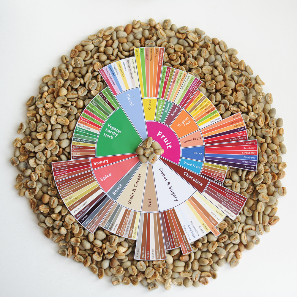 Specialty coffee concept. Raw green coffee beans on taster's flavor wheel. Top view. Third wave coffee / , Specialty coffee concept. Raw green coffee beans on taster's flavor wheel. Top view. White background. Third wave coffee